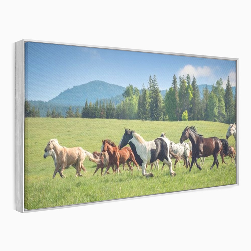 Tablou canvas cu grup de cai care galopeaza pe pajiste, in rama de aluminiu argintiu